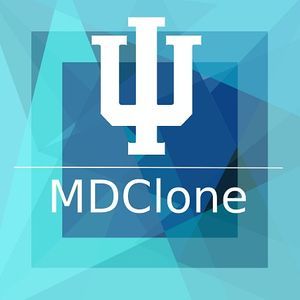 MDClone On-Premise Evaluation